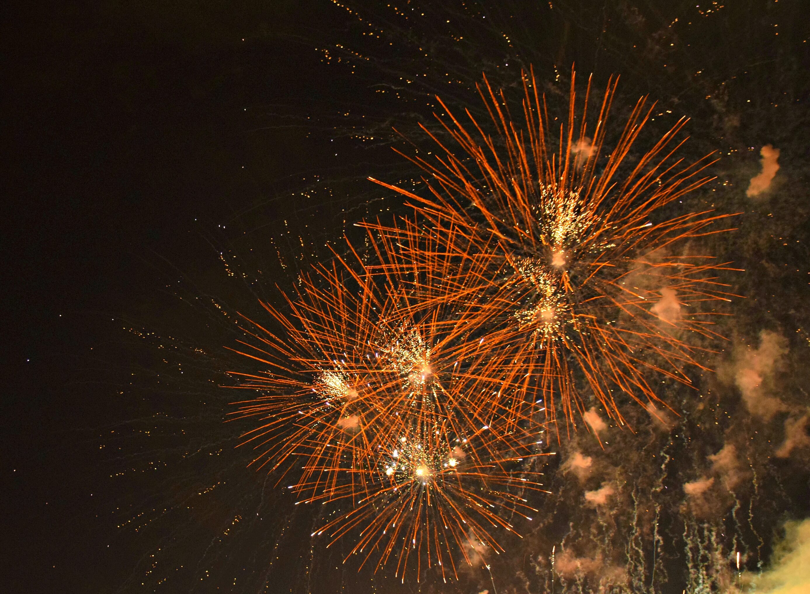 6 REASONS TO VISIT THE CANADIAN TULIP FESTIVAL IN OTTAWA Travel Bliss Now