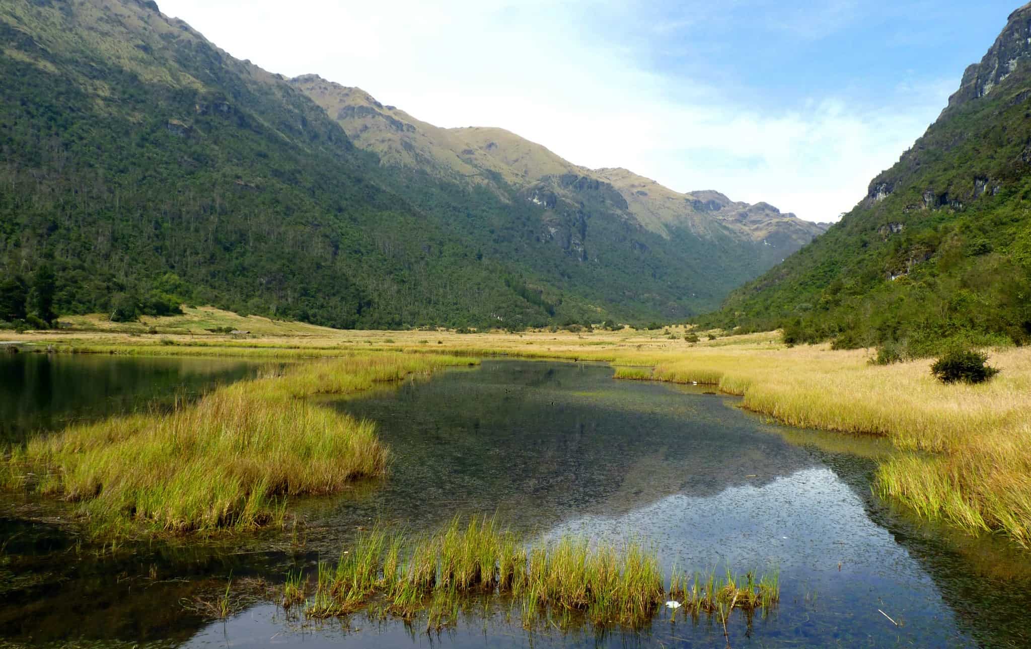 Cajas Ecuador