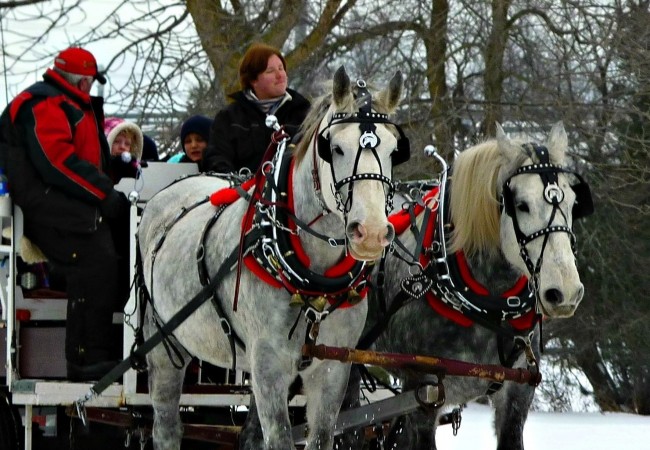 Confessions of a Christmas Market Neophyte