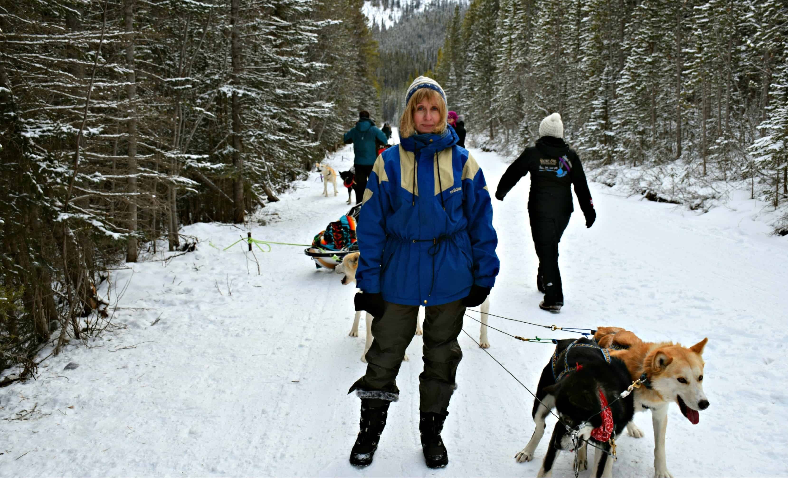 Dog sledding