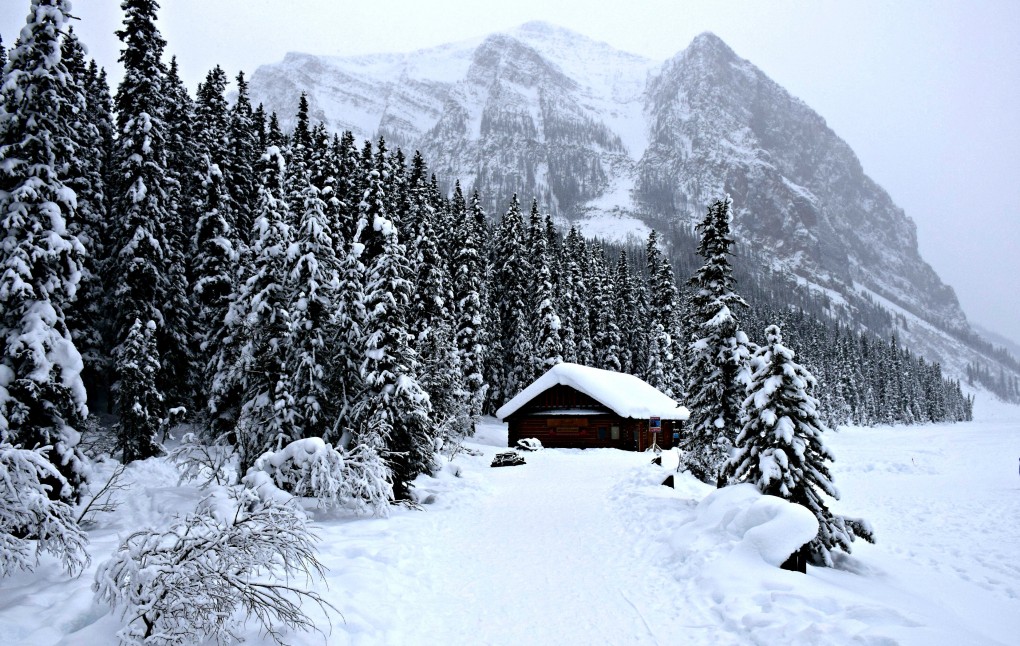 Why You Should Visit Lake Louise in Any Weather