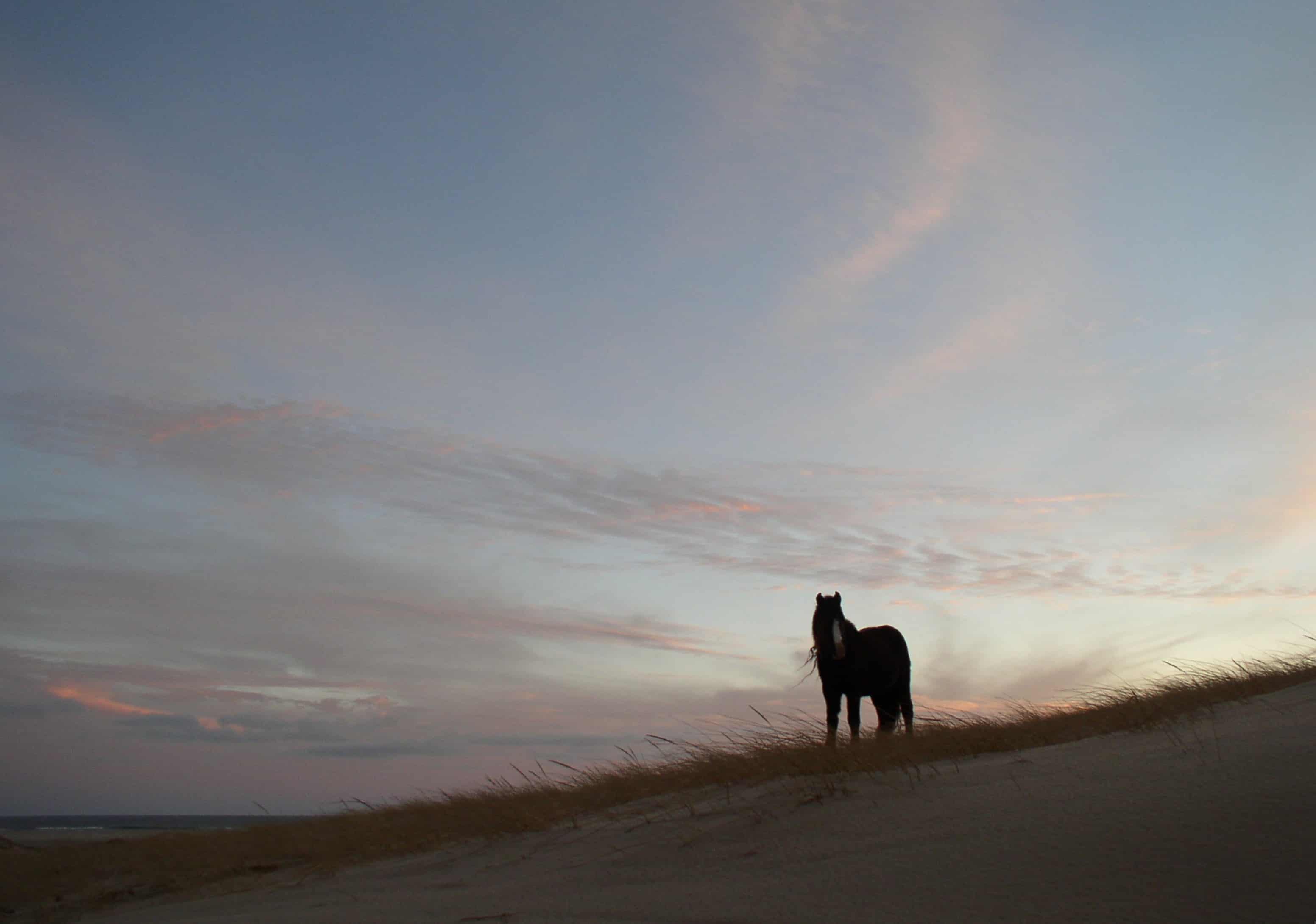 Photo by sleepyorange from Flickr
