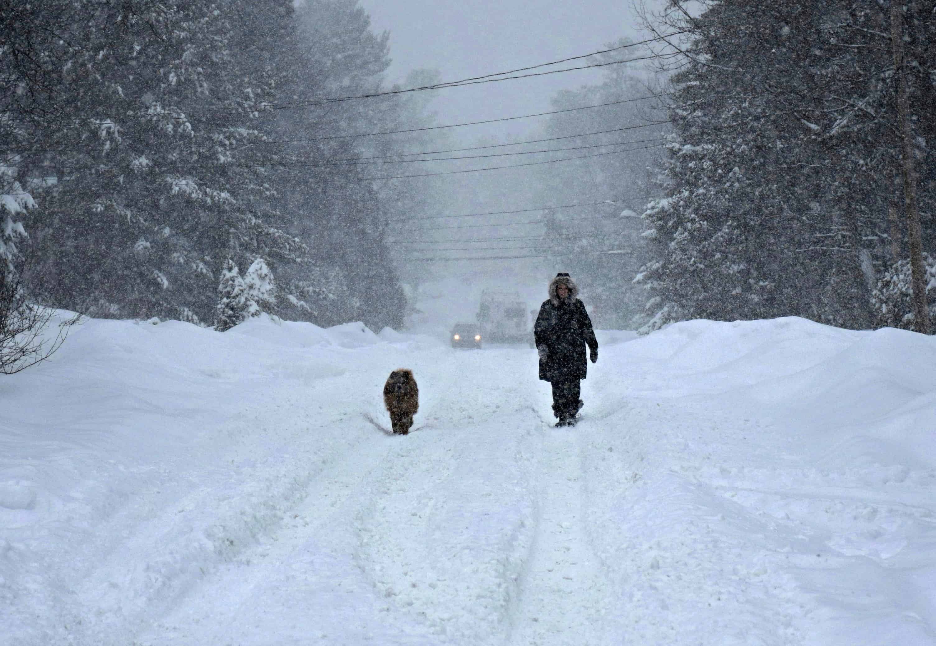Ottawa Snowstorm 2016
