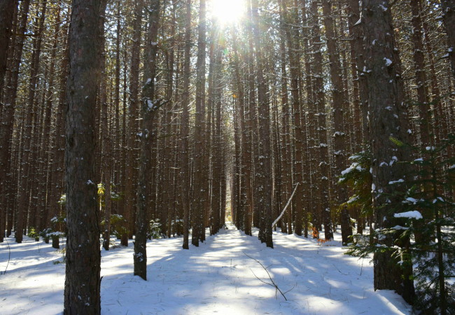 Photos of the Week:  Winter, Seriously?