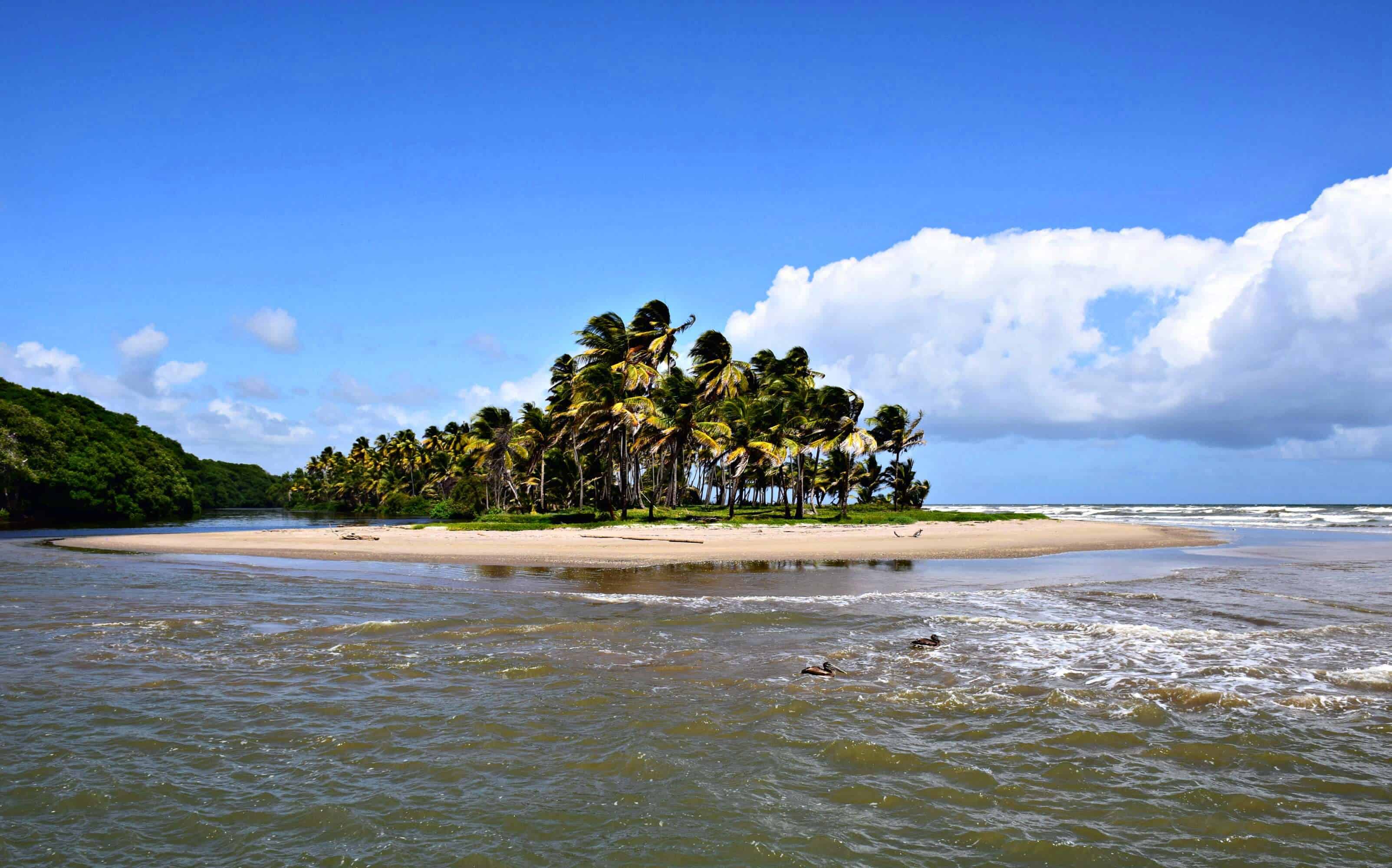 lessons in liming in Trinidad