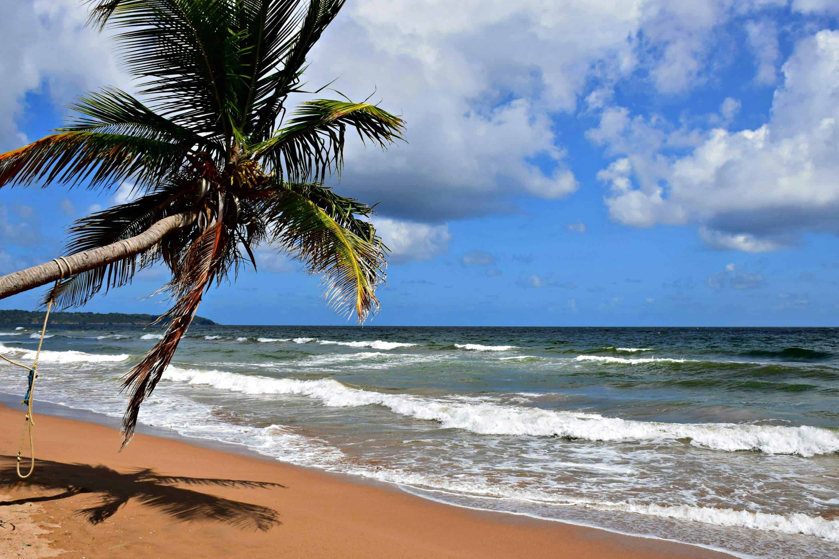 Lessons in liming in Trinidad