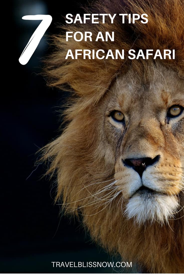 african safari safety tips