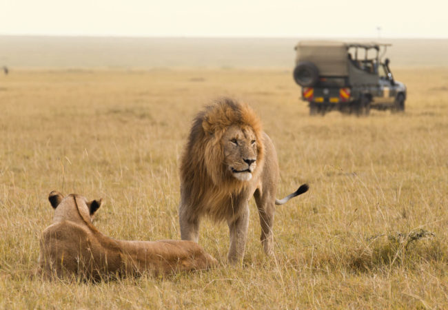 7 Safety Tips You Should Know About an African Safari