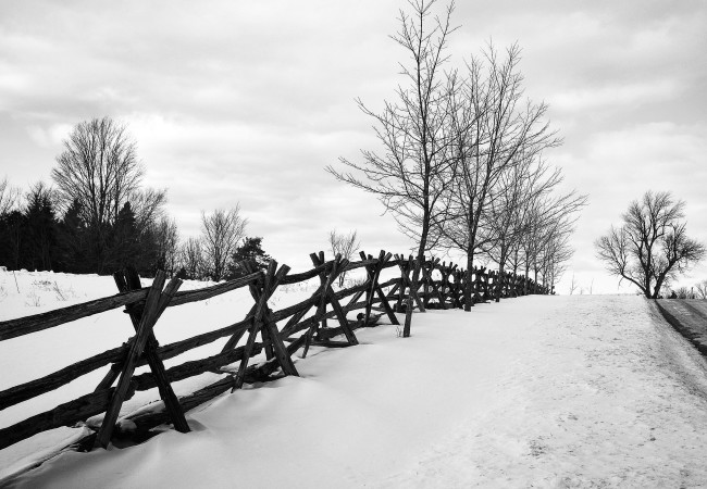 Photo of the Week:  Country Roads