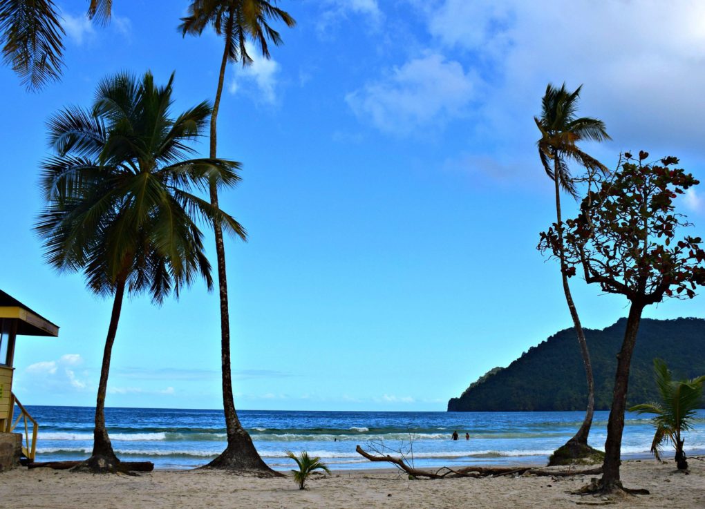 8 Photos That Will Make You Want To Tour Trinidad’s North Coast