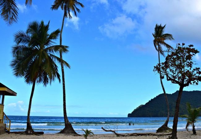 8 Photos That Will Make You Want To Tour Trinidad’s North Coast