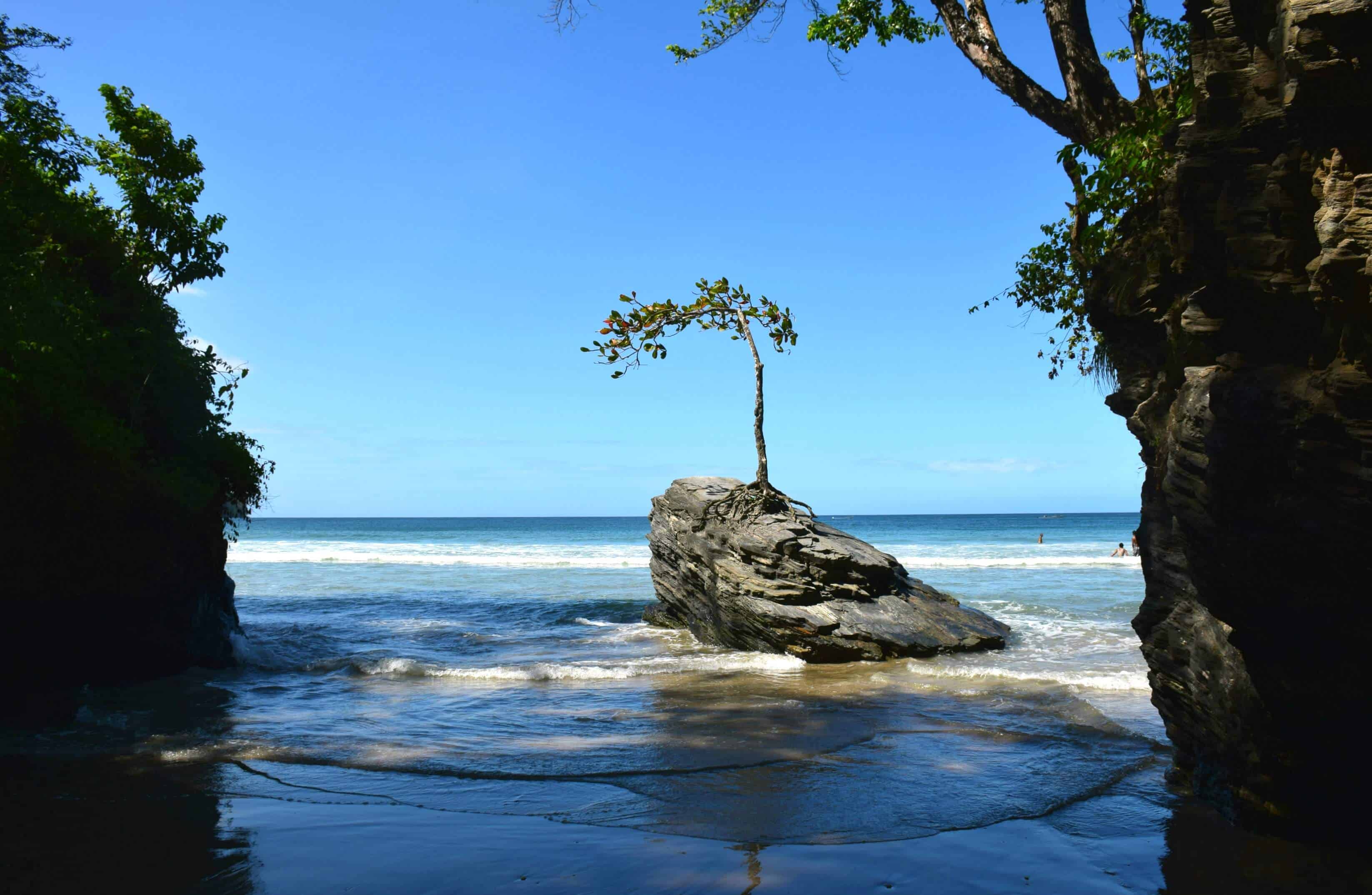 tour Trinidad's north coast road