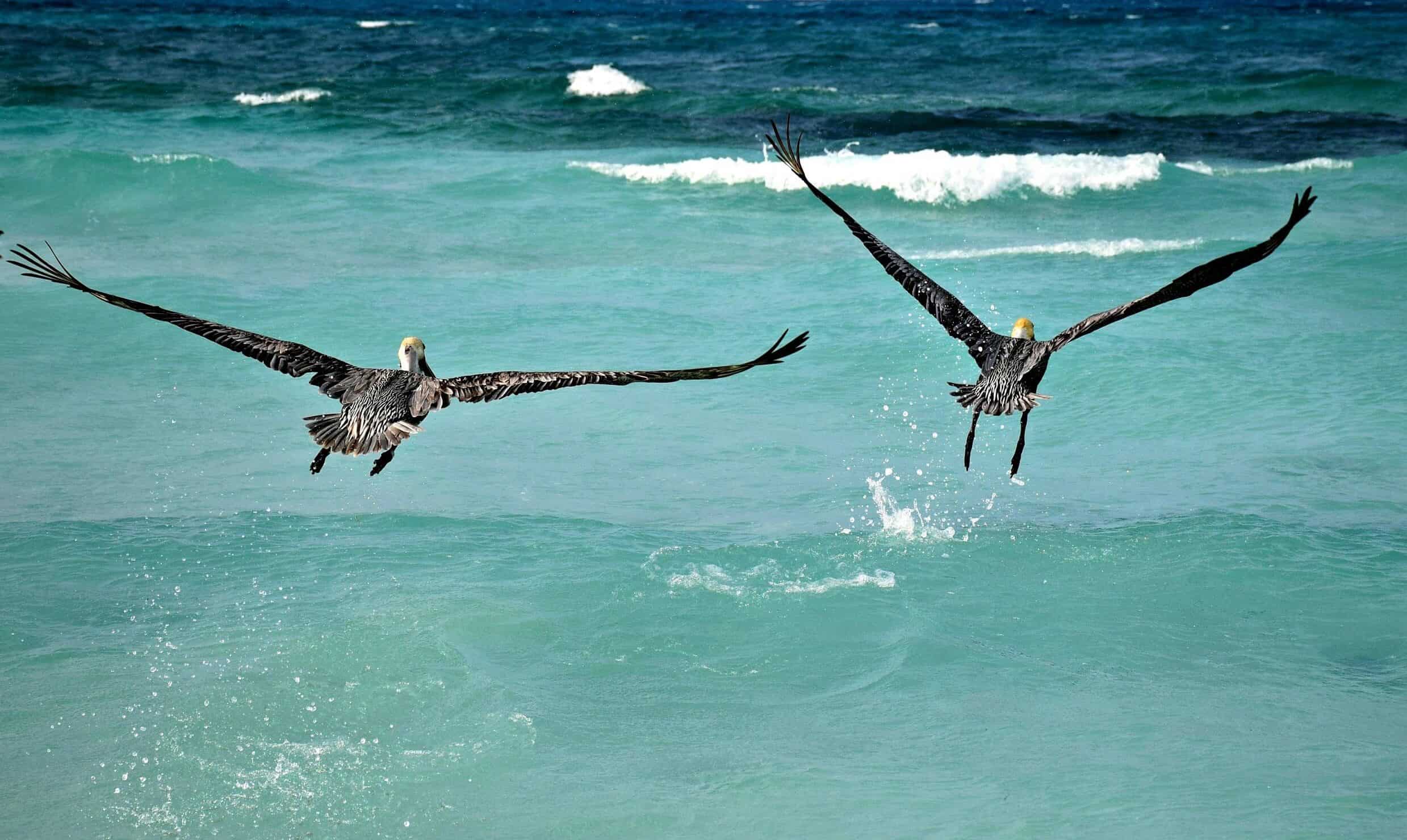 Varadero Beach, Cuba