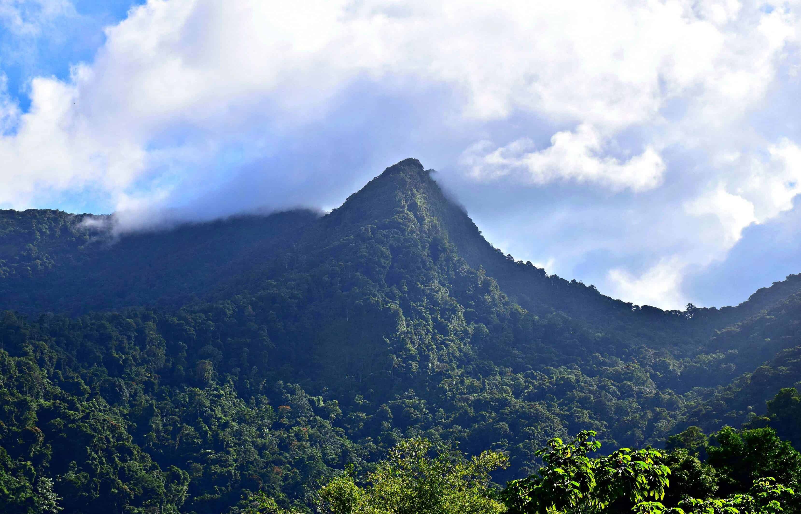 Tour Trinidad's north coast road