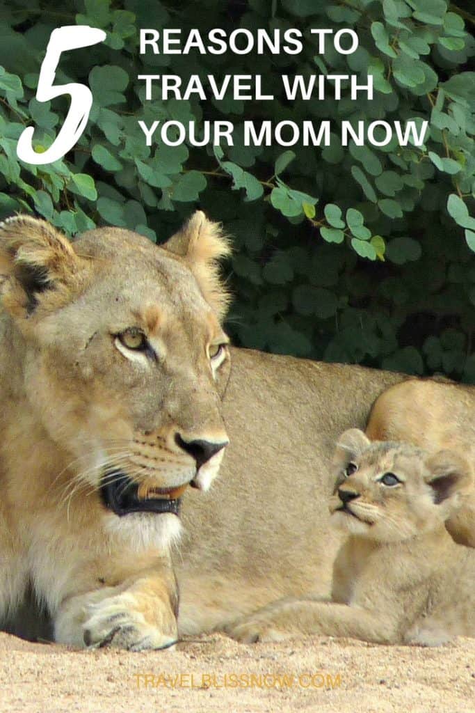 Travel with your Mom