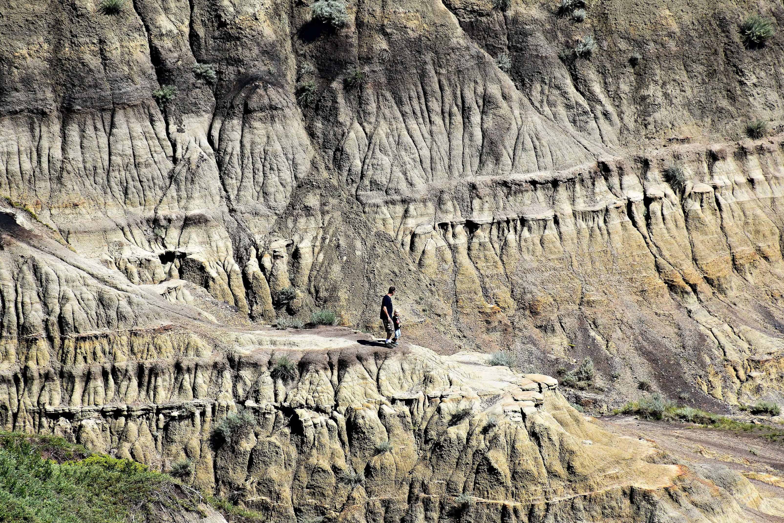 dinosaur trail near me