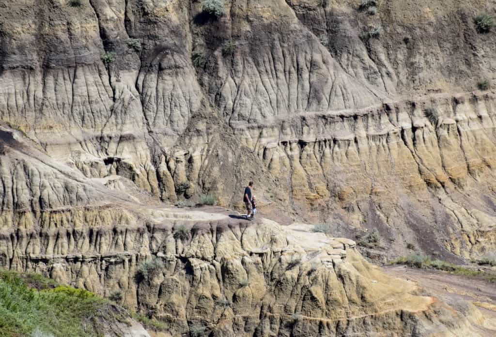 The Horseshoe Canyon on the Dinosaur Trail