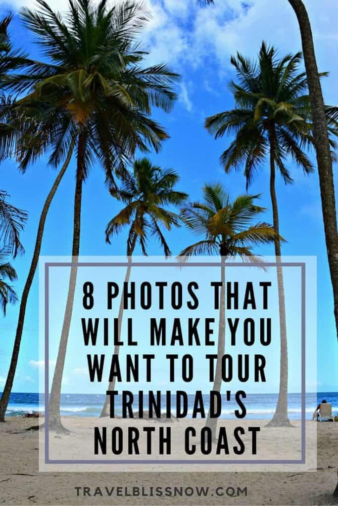 Tour Trinidad's North Coast