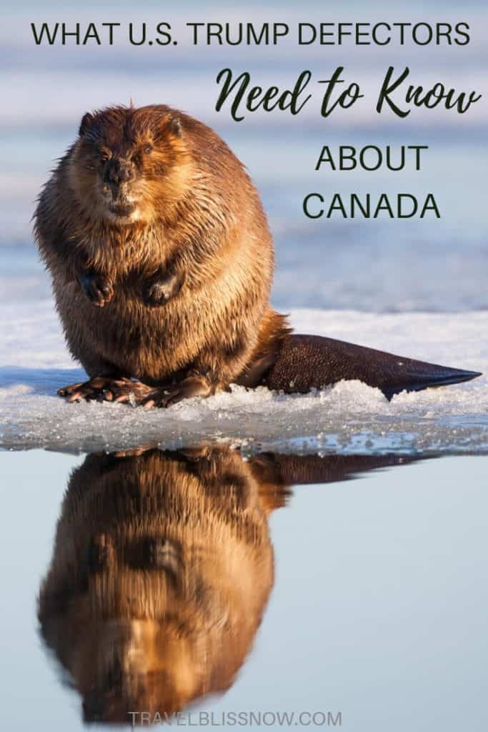 Need to Know about Canada