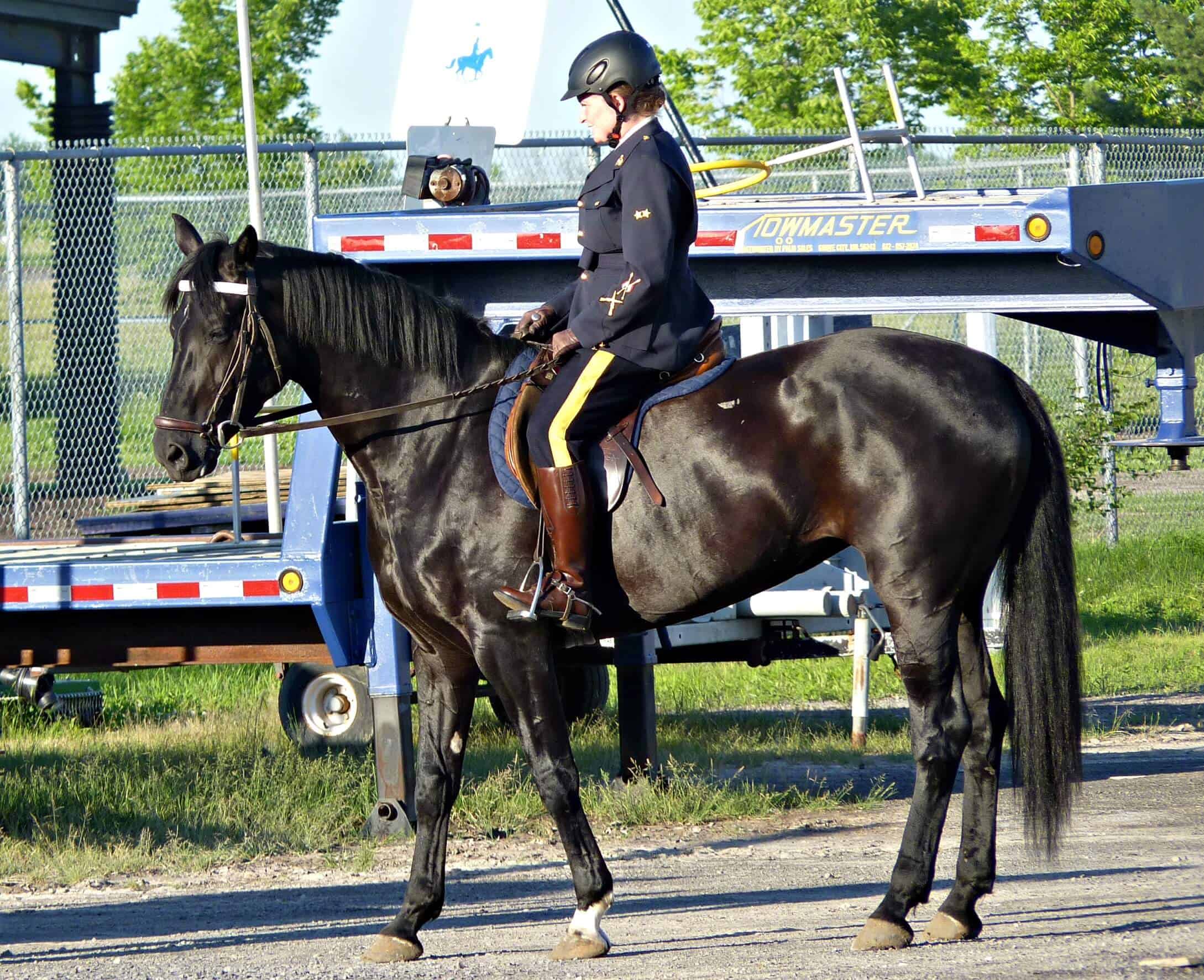 RCMP Musical Ride