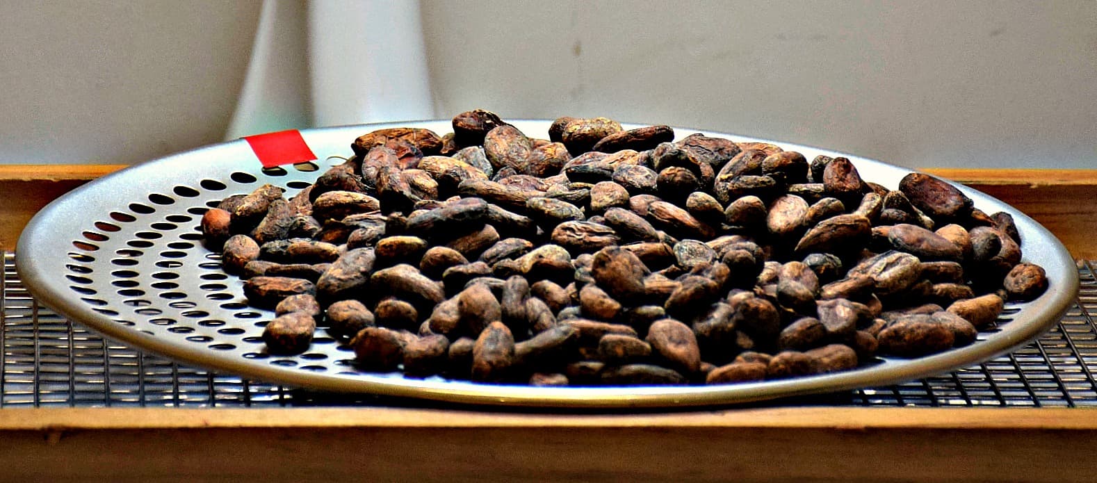 Cocoa Bean sorting