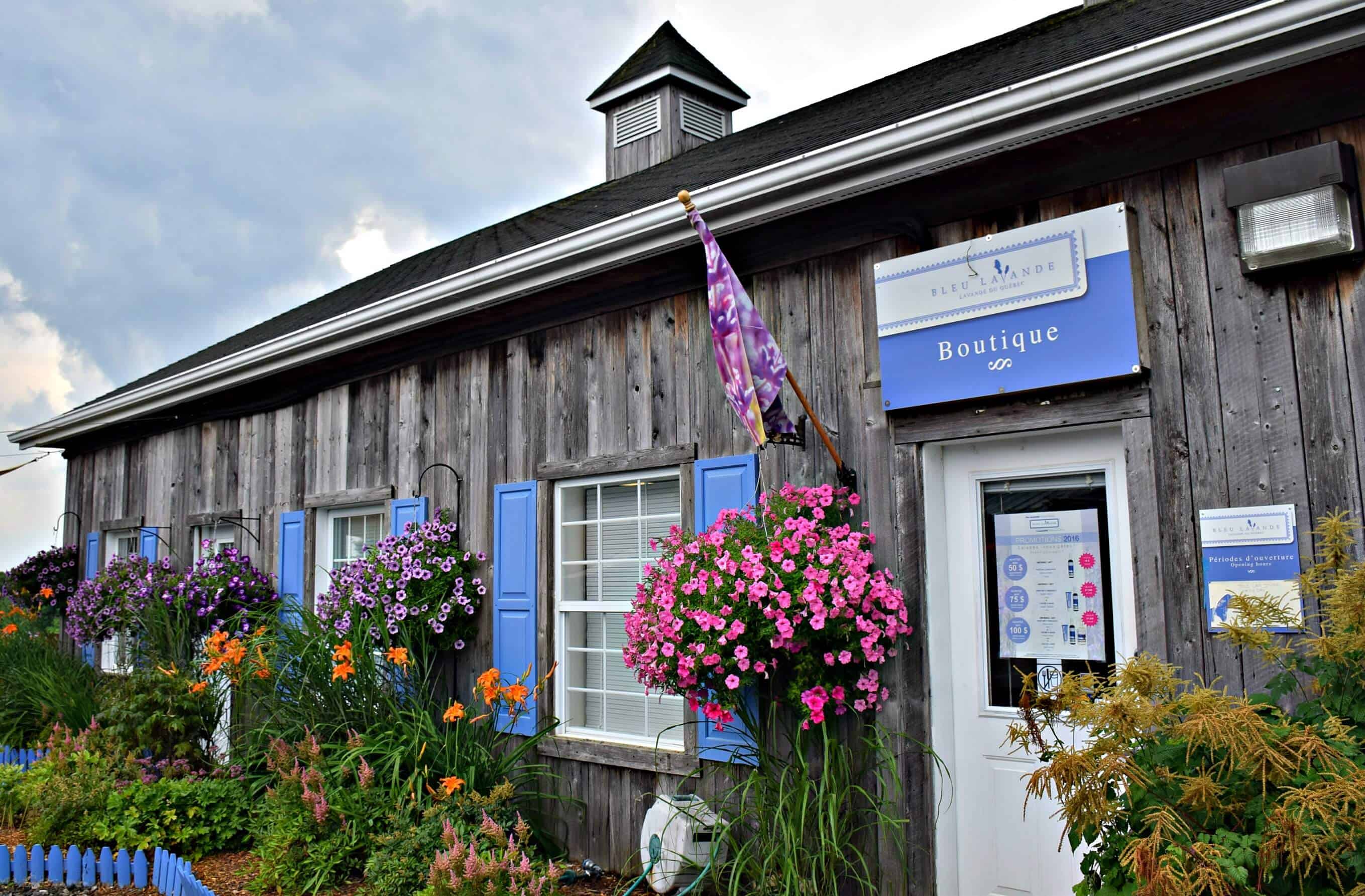 Bleu Lavande, Quebec