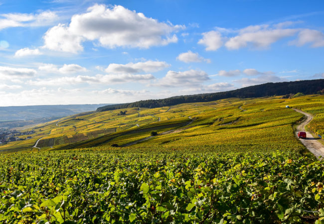 Uncork the Bubbly:  The Best Day Tour to Champagne, France