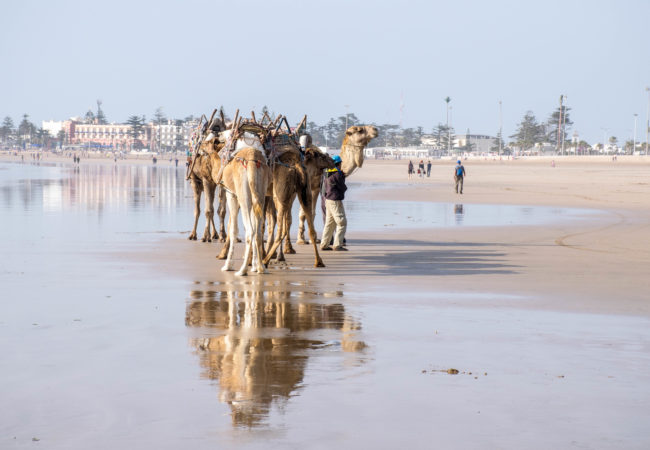 8 Reasons To Add Essaouira To Your Morocco Trip