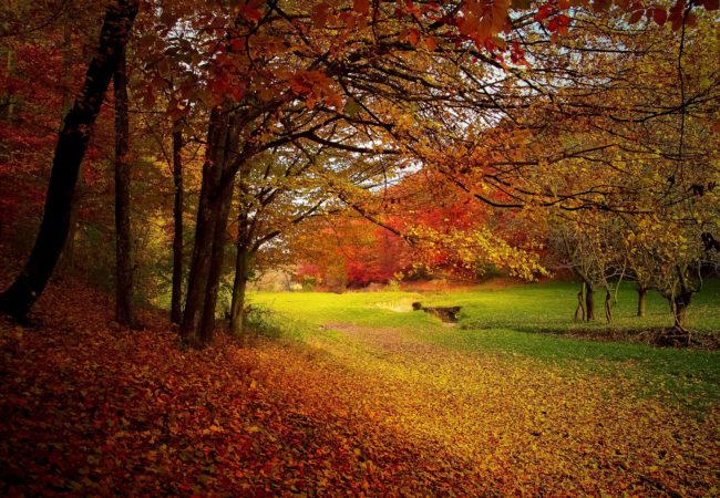 6 Romantic Fall Getaway Spots in the Northeastern U.S.
