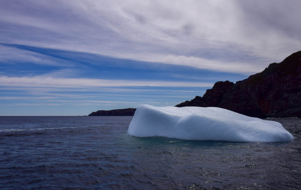 How To Find Icebergs and Other Natural Wonders in Newfoundland