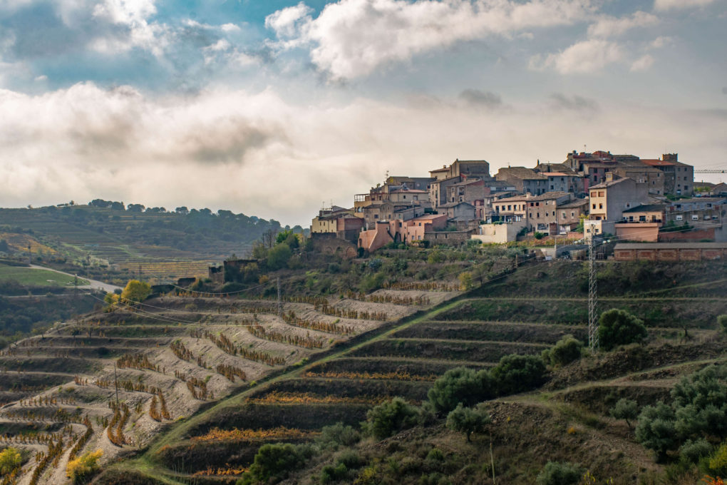 The Priorat Wine Tour from Barcelona You Can’t Miss