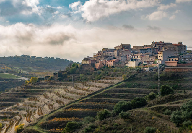 The Priorat Wine Tour from Barcelona You Can’t Miss