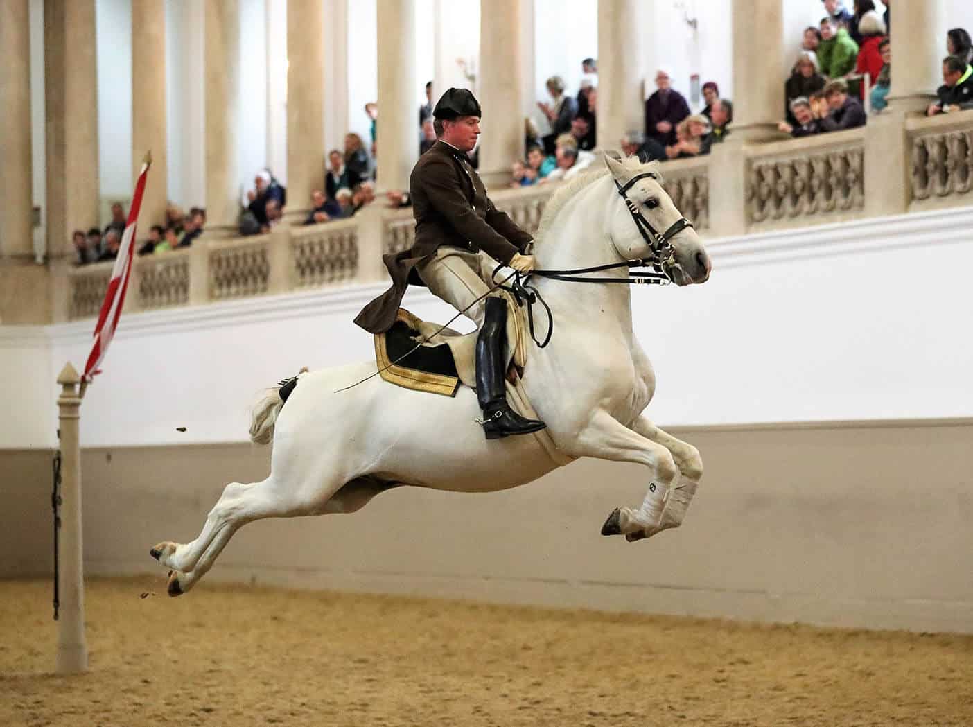 royal lipizzaner stallions tour schedule