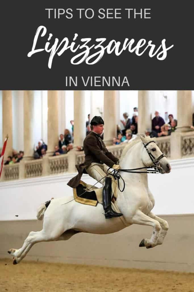 Spanish Riding School in Vienna
