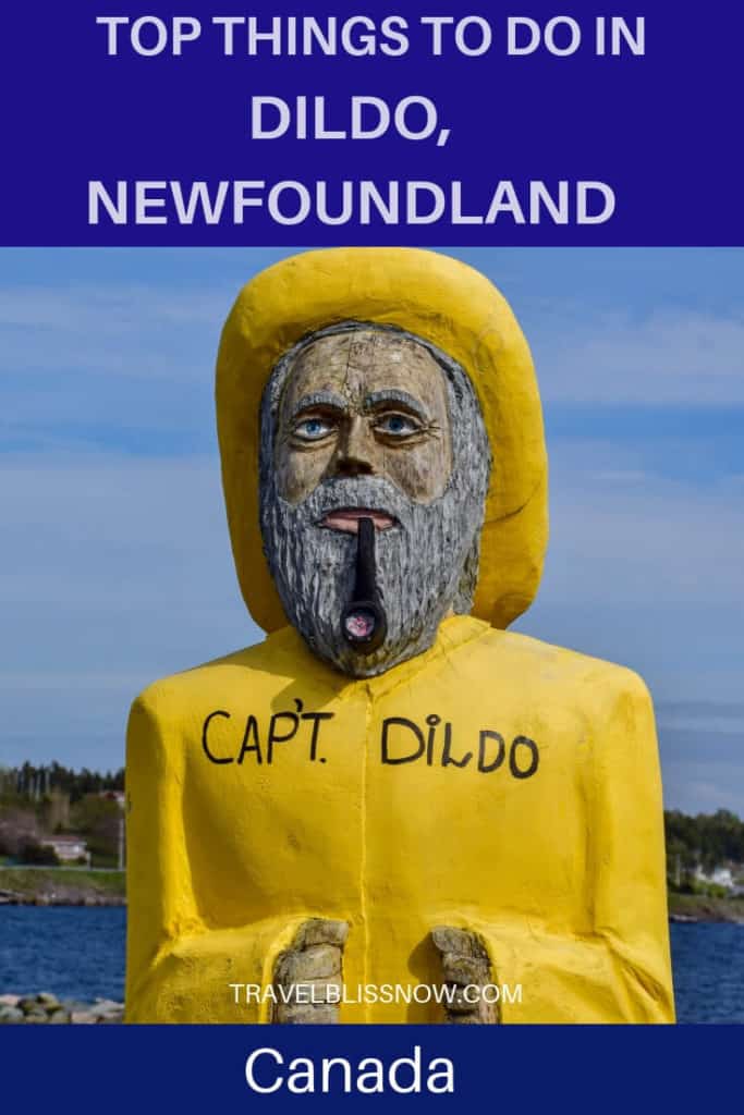 Top Things to do in Dildo, Newfoundland Canada