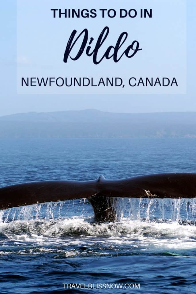 Things To Do in Dildo, Newfoundland - Why You & Jimmy Kimmel Should Visit