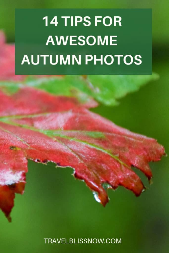 14 Tips For Awesome Autumn Photo