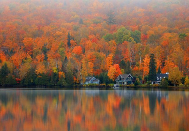 14 Fall Photography Tips for Awesome Autumn Images