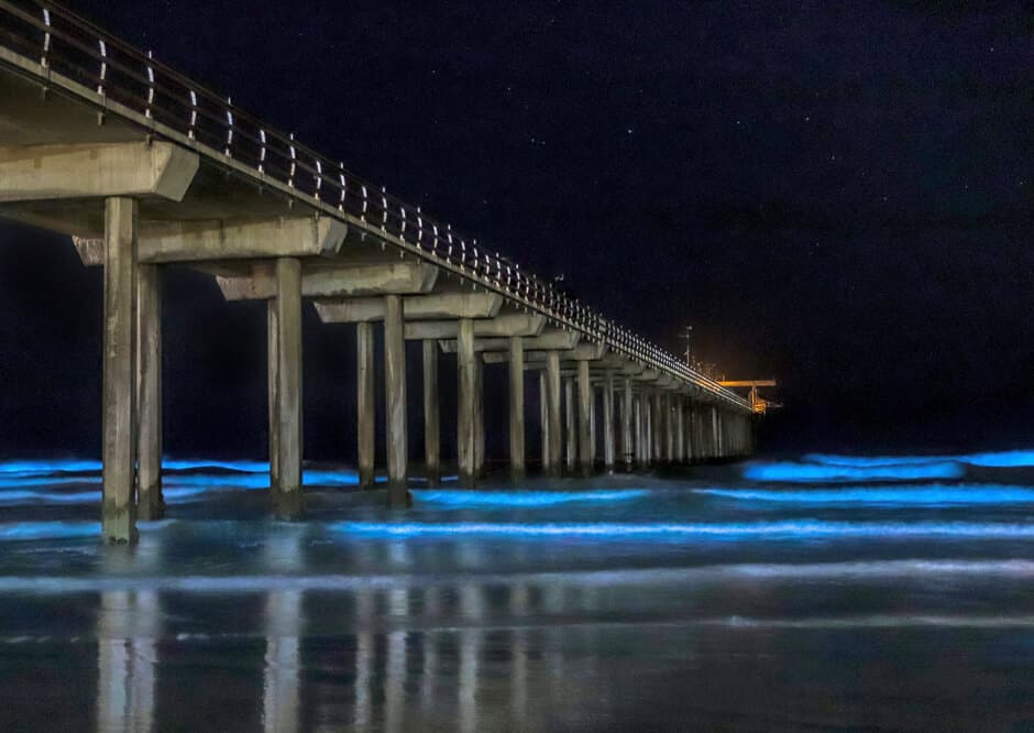Scripps Pier in La Jolla, California at night with bioluminescent waves, a must-see in California