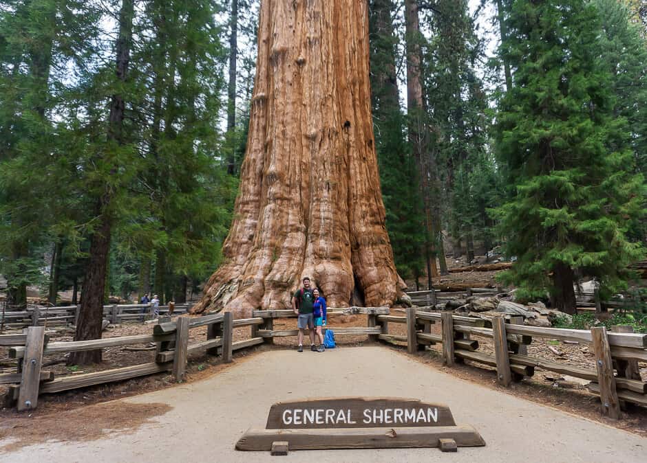 Two people in front of huge tree in Sequoia National Park, one of the best places to visit in California