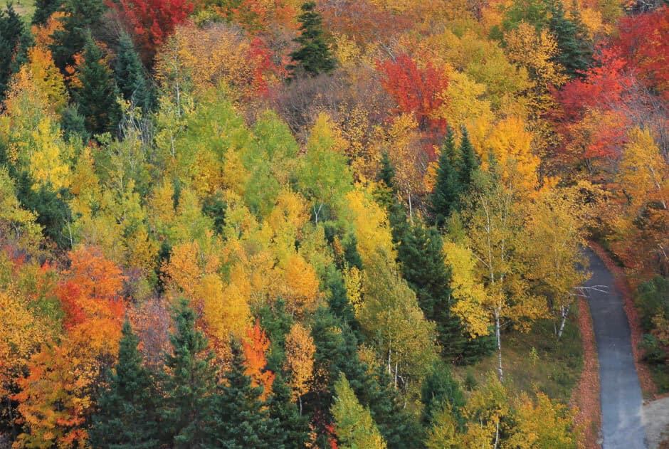 New Hampshire fall foliage USA