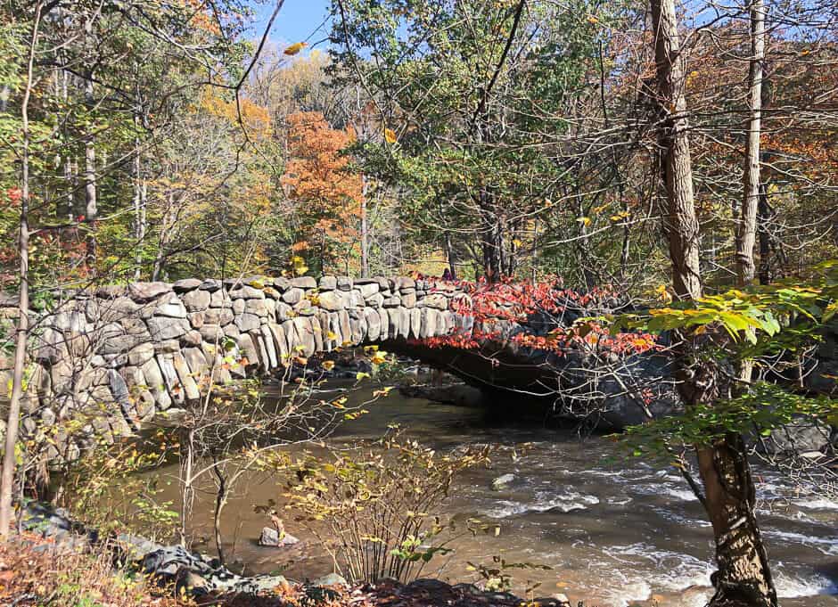 A small bridge over a stream in fall