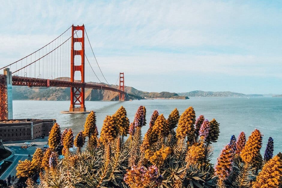 The Golden Gate Bridge behind some fall foliage in San Francisco, one of the best places to travel in October.