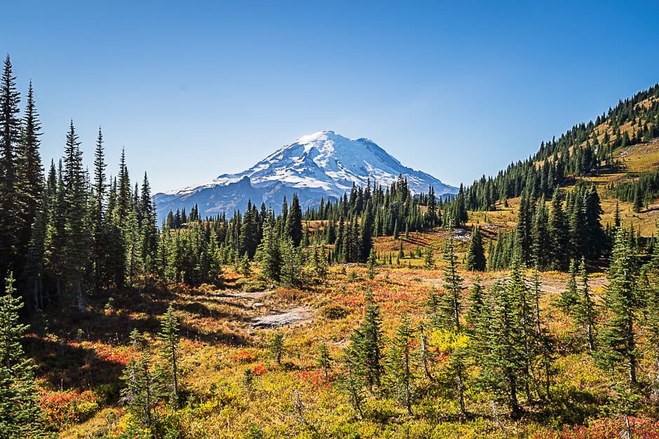 Snow-capped mountain in the background with evergreens and fall foliage bushes in the foreground at U.S.A. fall destination Mount Ranier National Park
