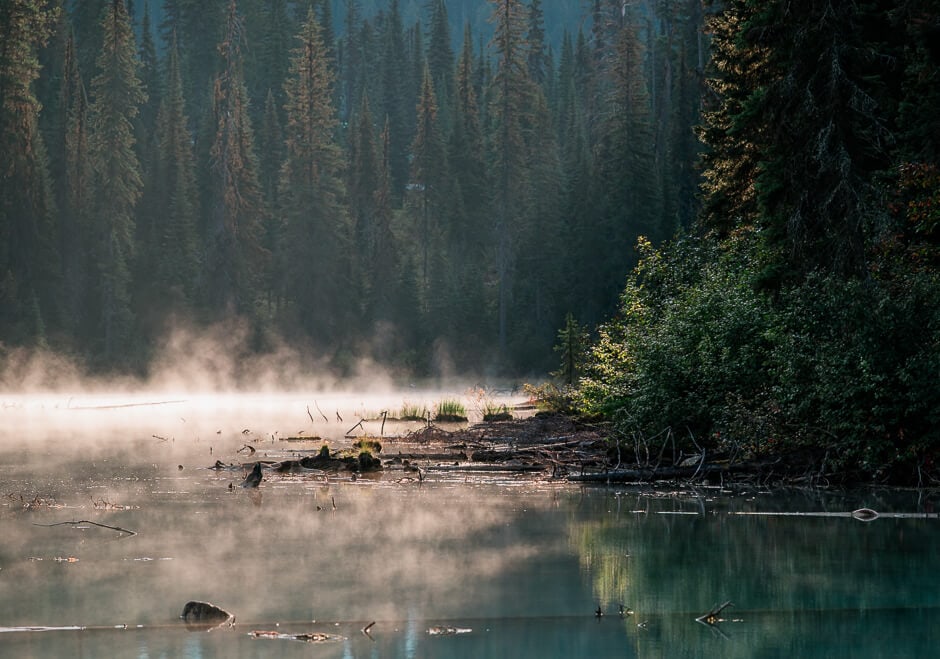 Mist rising off an alpine lake surrounded by fir trees in Canada
