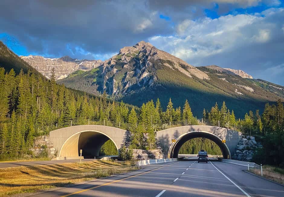 A wildlife crossing bridge over Highway 1 in Banff National Park in Alberta, Canada