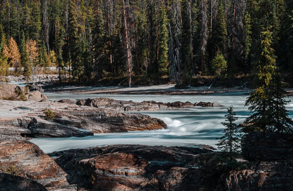 A fast running alpine stream surrounded by rocks and fir trees.