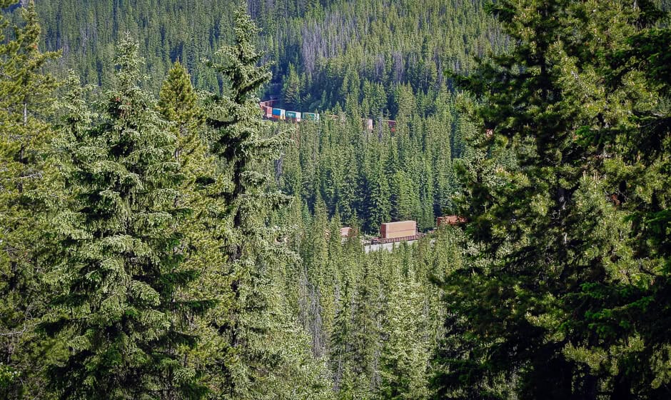 A train weaving its way through trees on a mountainside